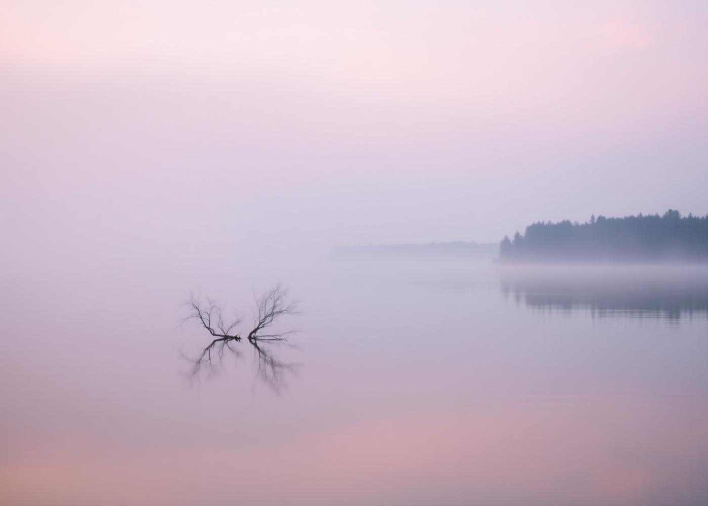 Morning mist rising off Greers Ferry Lake along the property shoreline